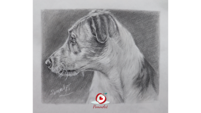 Formation-cours-Dessiner un chien