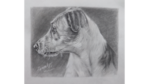 Comment dessiner un chien ?