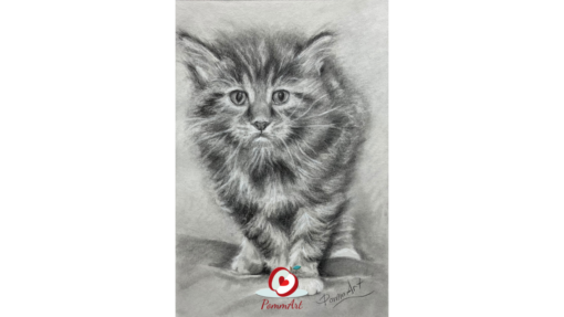 Comment dessiner un chat ?