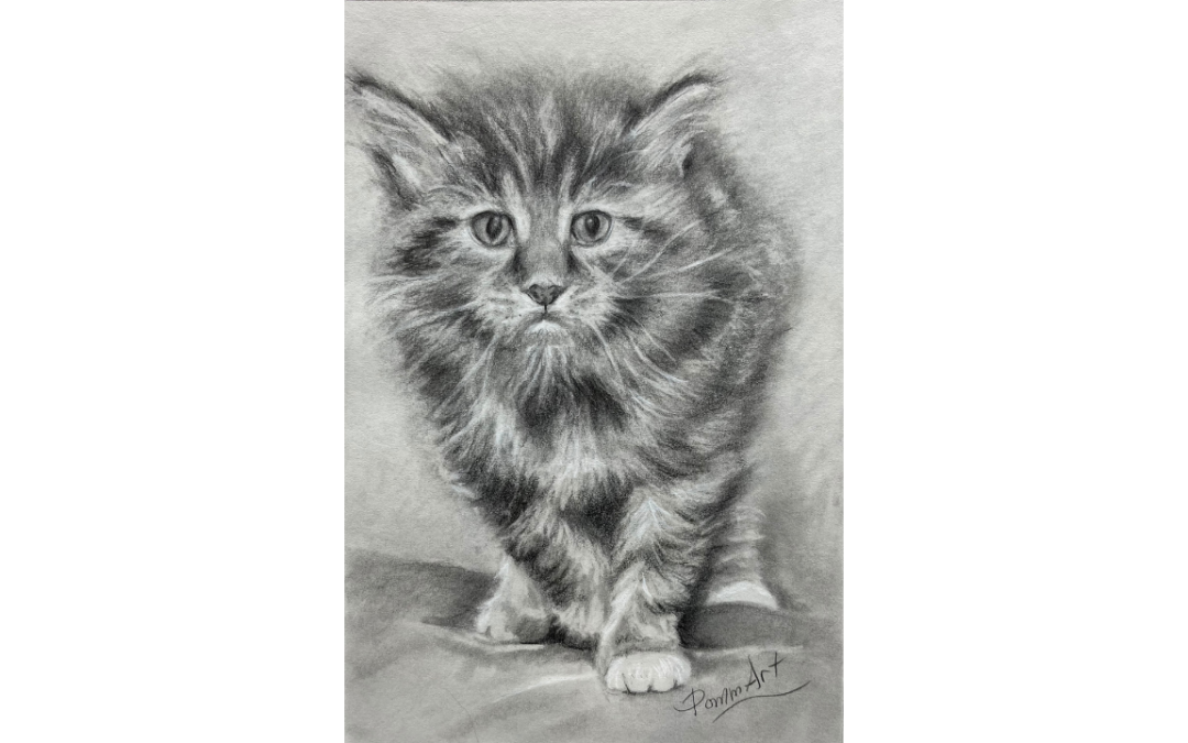 Comment dessiner un chat ?