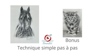 comment dessiner cheval et chat